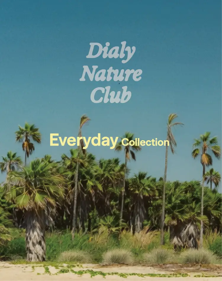 Everyday Collection