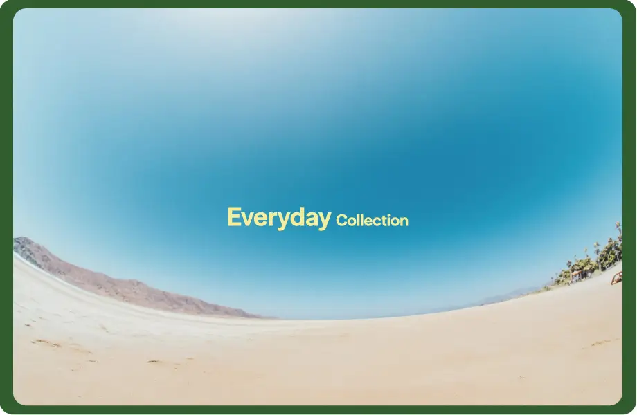 Everyday Collection
